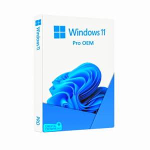 Key Bản Quyền Windows 11 Pro Vĩnh Viễn